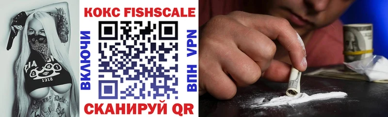 Купить закладки  Петухово  COCAIN Fish Scale 