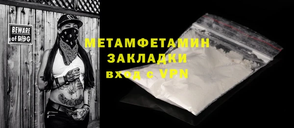 шишки Гусев