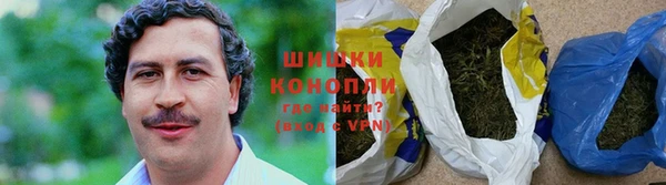 шишки Гусев