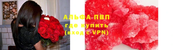 шишки Гусев