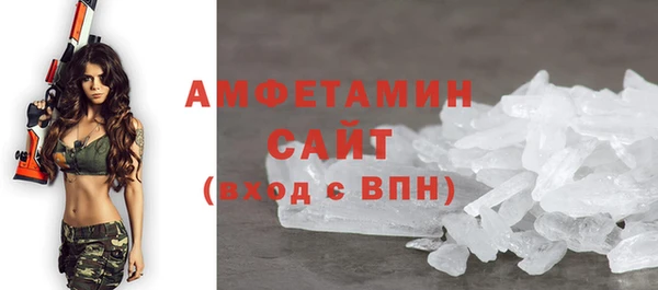 шишки Гусев