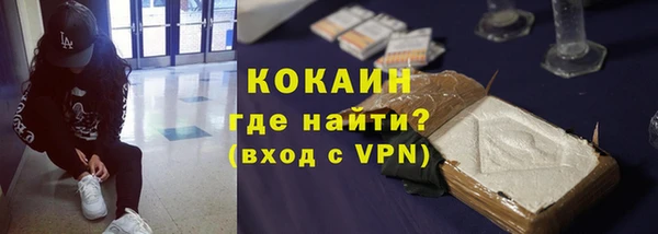 шишки Гусев