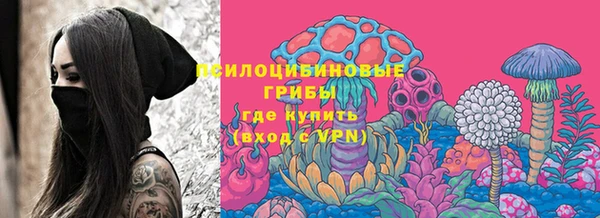 мескалин Дмитриев