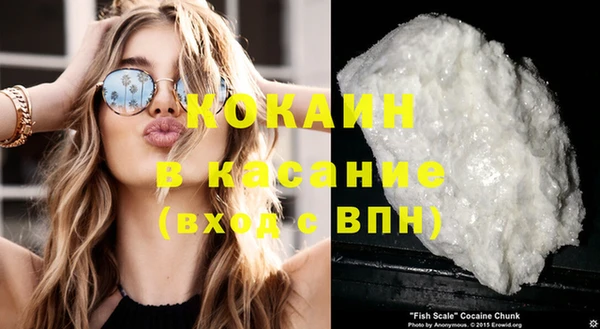 шишки Гусев