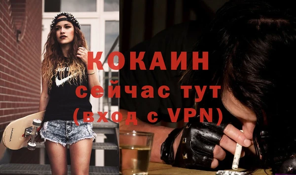 шишки Гусев