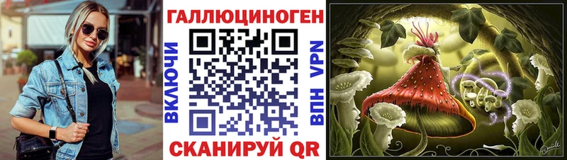 Купить где  Петухово  Псилоцибиновые грибы прущие грибы 